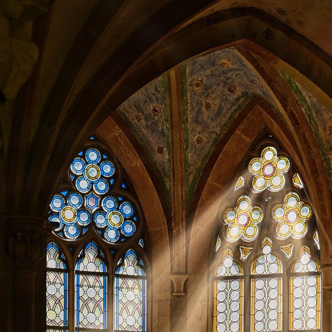 homeowner natural light window