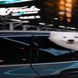 happy client near window